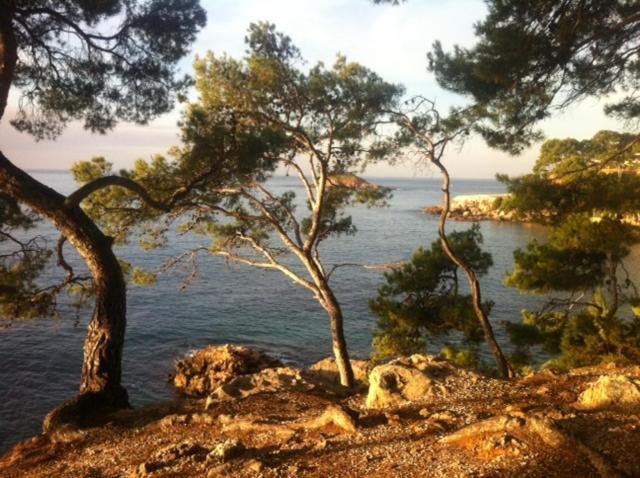 Le Hameau De La Crique De L'Anglaise Bandol Eksteriør bilde